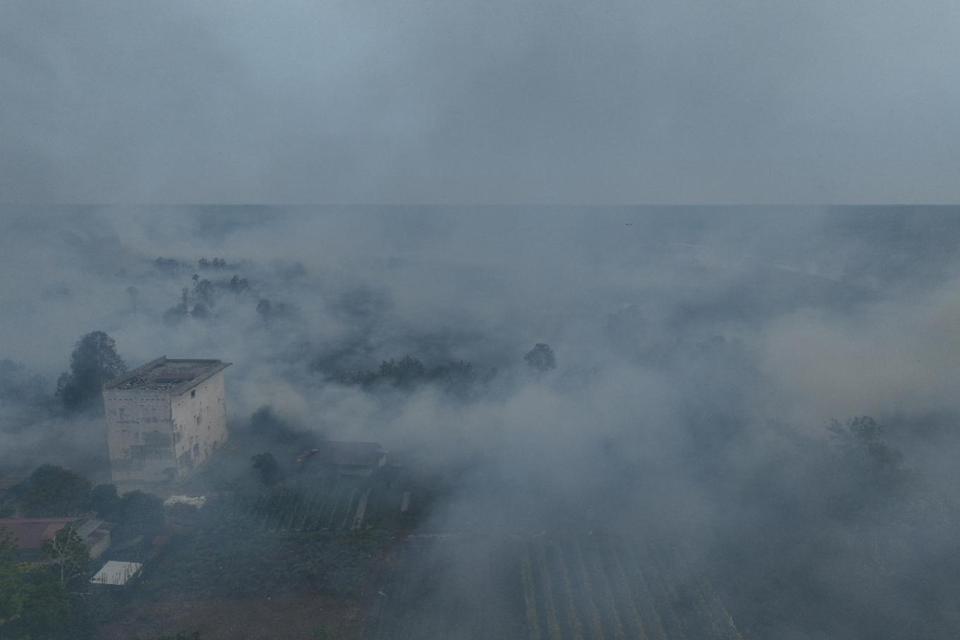 Kemenhut Tetapkan PT MAP dan PT GAP Tersangka Kebakaran Hutan, Kerugian Dihitung