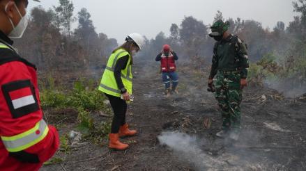 DPR Minta Keuntungan Korporasi Penyebab Karhutla Berulang Dirampas