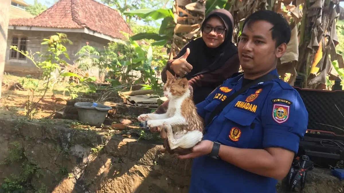 Damkar Boyolali Evakuasi Kucing Terjebak 2 Hari di Sumur Sedalam 10 Meter, Warga Sempat Gagal Angkat Pakai Ember