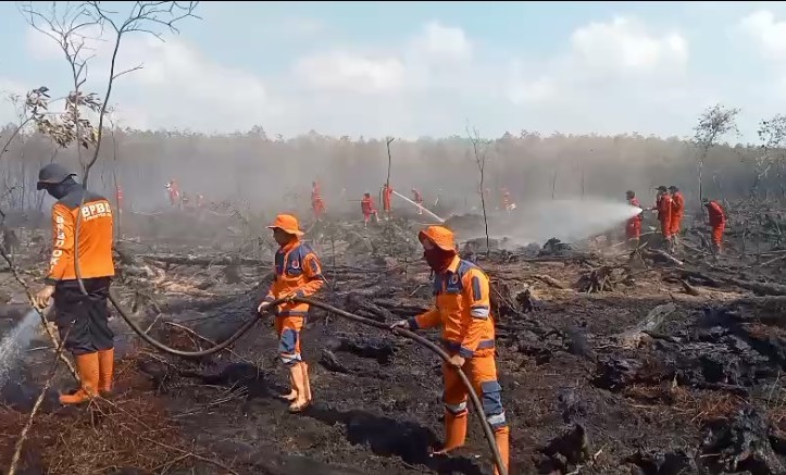 BPBD Sumsel Laporkan 49 Titik Hotspot di 8 Kabupaten, 257 Karhutla Terjadi Sejak Awal 2026