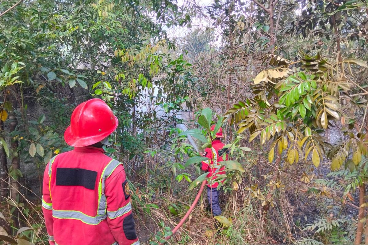 BPBD Belitung Padamkan 3 Kebakaran Hutan dan Lahan dalam Sehari, 8 Hektare Hangus Terbakar