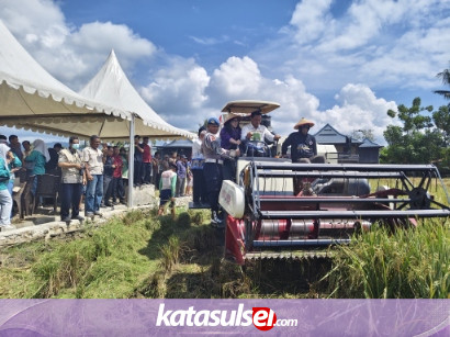 Direktur Bappenas Tinjau Panen Raya di Sidrap, Produktivitas Padi Tembus 12 Ton Per Hektare