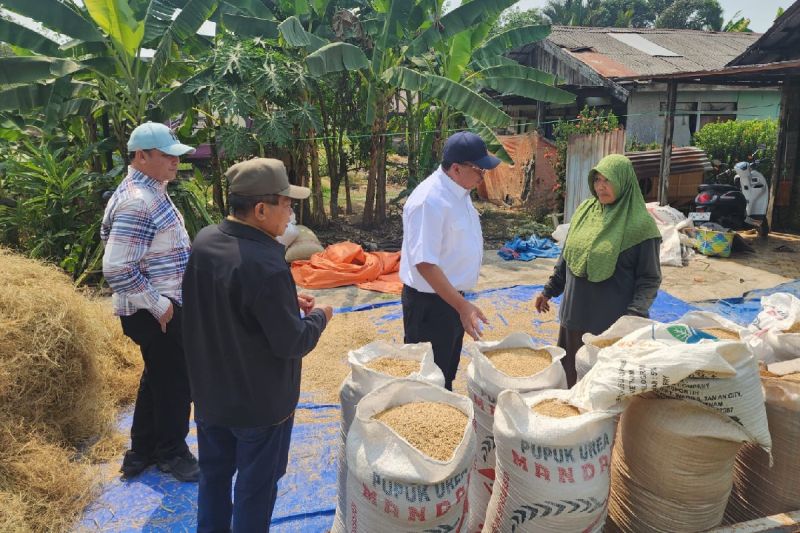 Kapuas Percepat Modernisasi Pertanian, Kementan Siapkan Mobile Rice Unit di Tamban Catur
