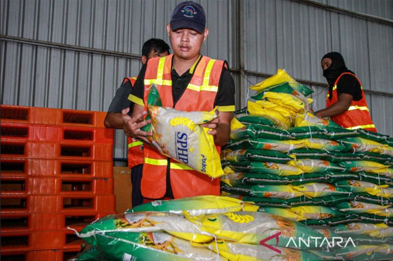 Stok Beras di Gudang Bulog Kalteng Tembus 5.000 Ton, Aman hingga Akhir Tahun 2026
