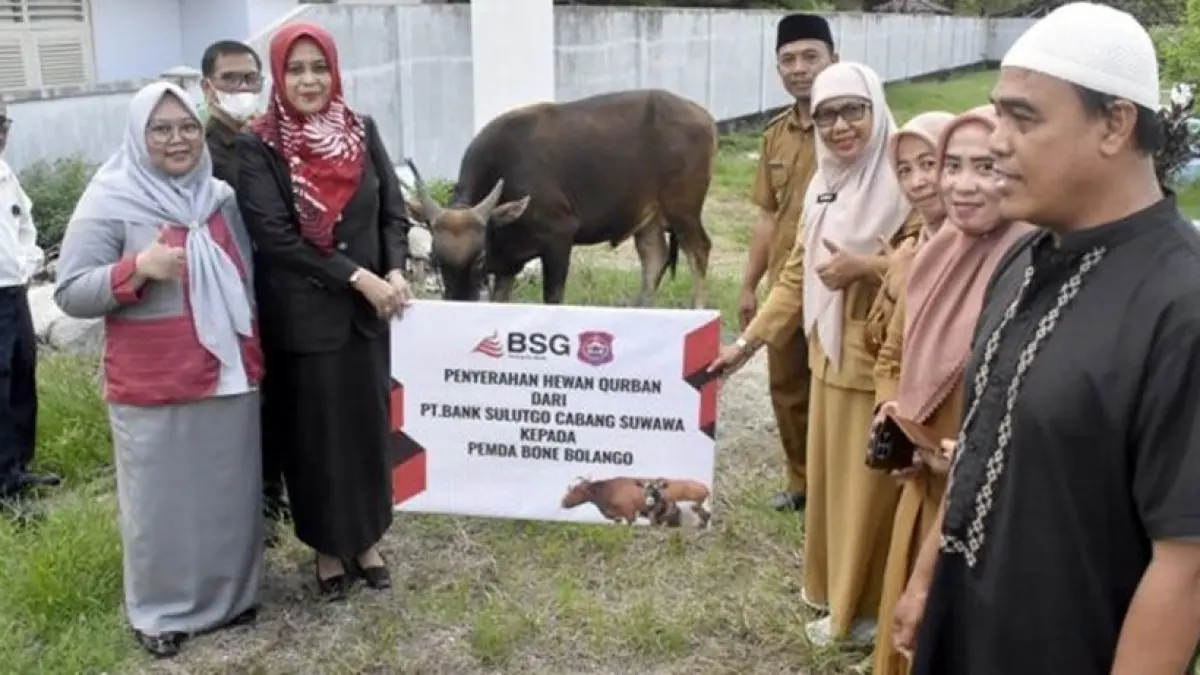 Rekor Sapi Kurban di Bone Bolango Capai 1.200 Ekor, Termasuk Bantuan dari Presiden Prabowo dan Bank Indonesia