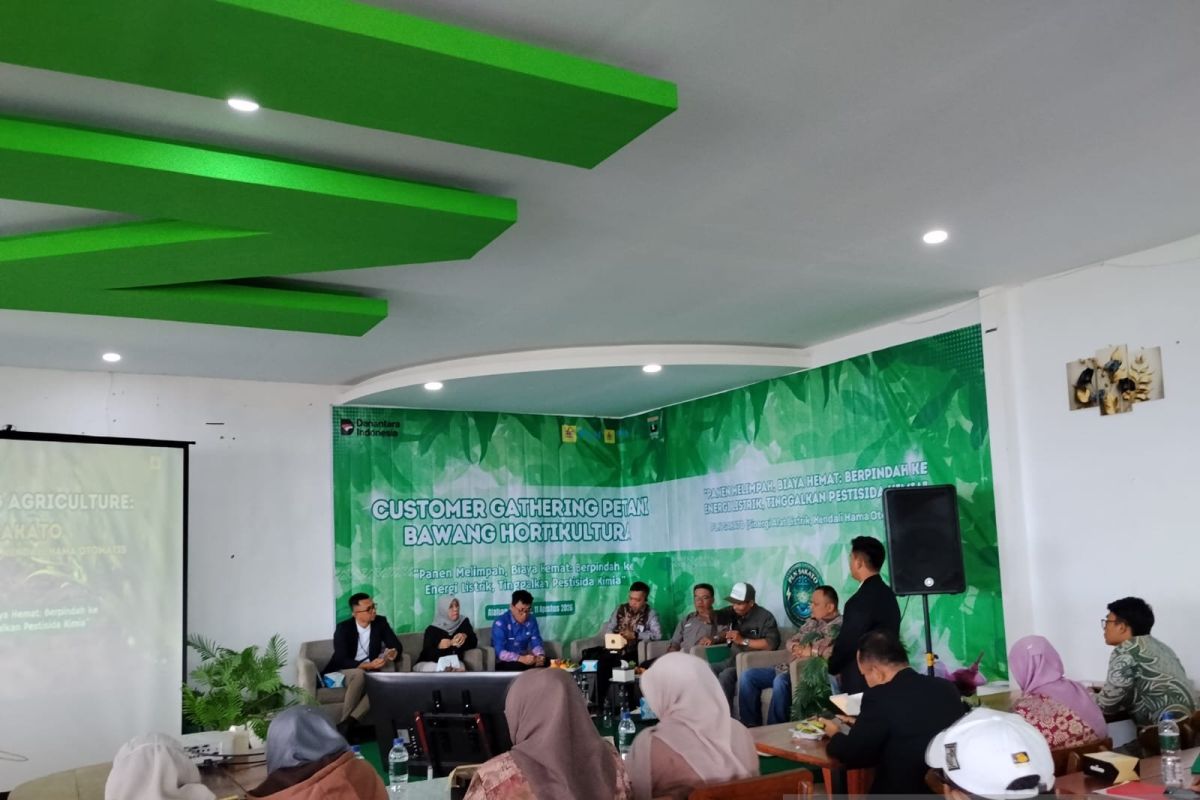 Pemkab Solok Dorong Petani Alahan Panjang Kembangkan Bawang Merah Varietas Campion, Jadi Andalan Hortikultura