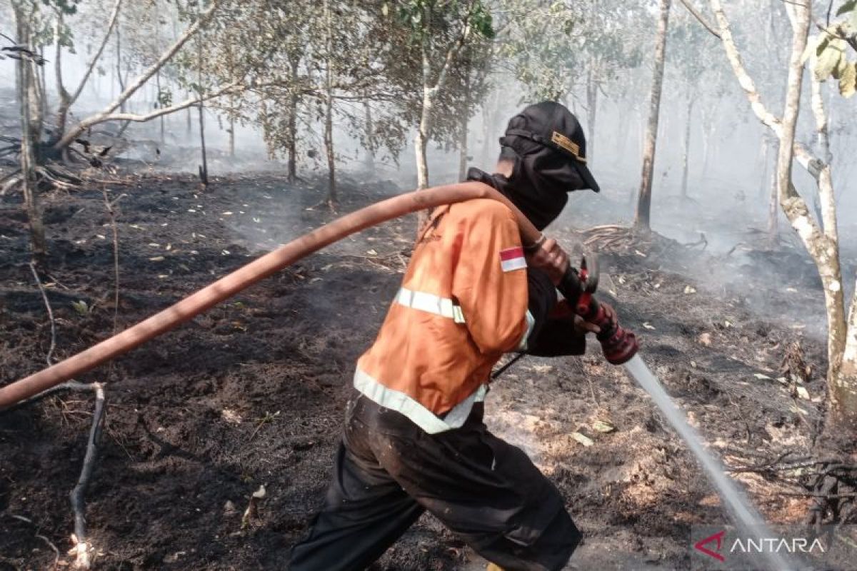 Karhutla di Sungai Rotan Muara Enim Meluas ke 6 Hektare, Tim Gabungan Terjunkan Helikopter Water Bombing