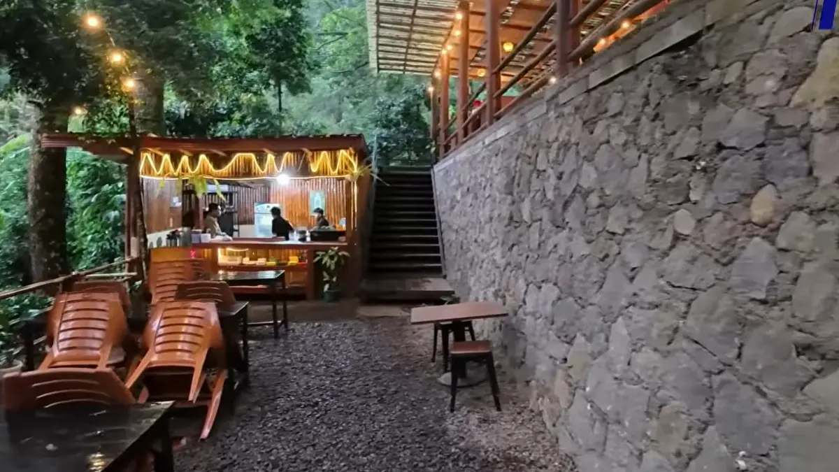 Kampung Rimba Cisarua Puncak Bogor Buka 24 Jam, Cafe Resto di Tengah Hutan Pinus Sajikan View Sungai dan Budaya Nusantara