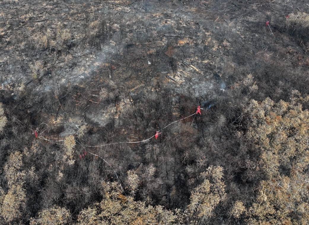 Semua Titik Karhutla di Sumsel Berhasil Dipadamkan, Manggala Agni Tetap Siaga Pantau 3 Wilayah Rawan