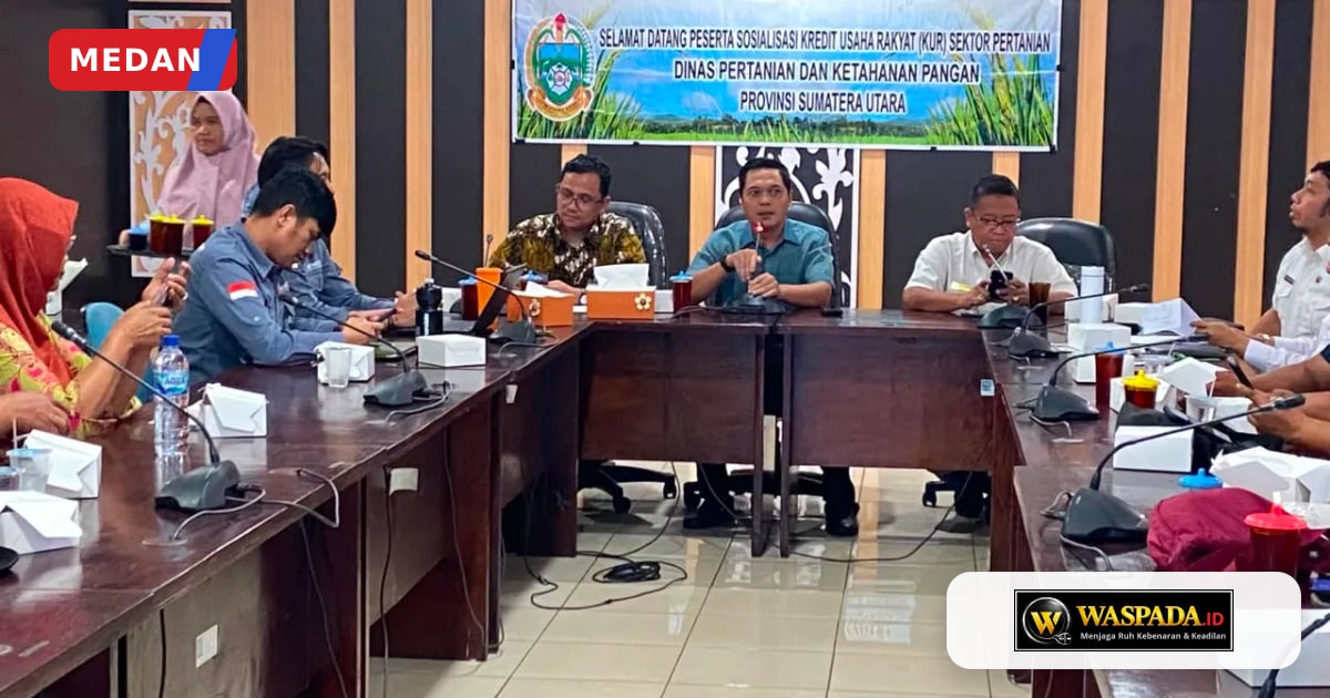 Bank Sumut Buka Tiga Skema KUR Sektor Pertanian di Sumatera Utara, Bunga Mulai 3 Persen dan Bebas Biaya Administrasi
