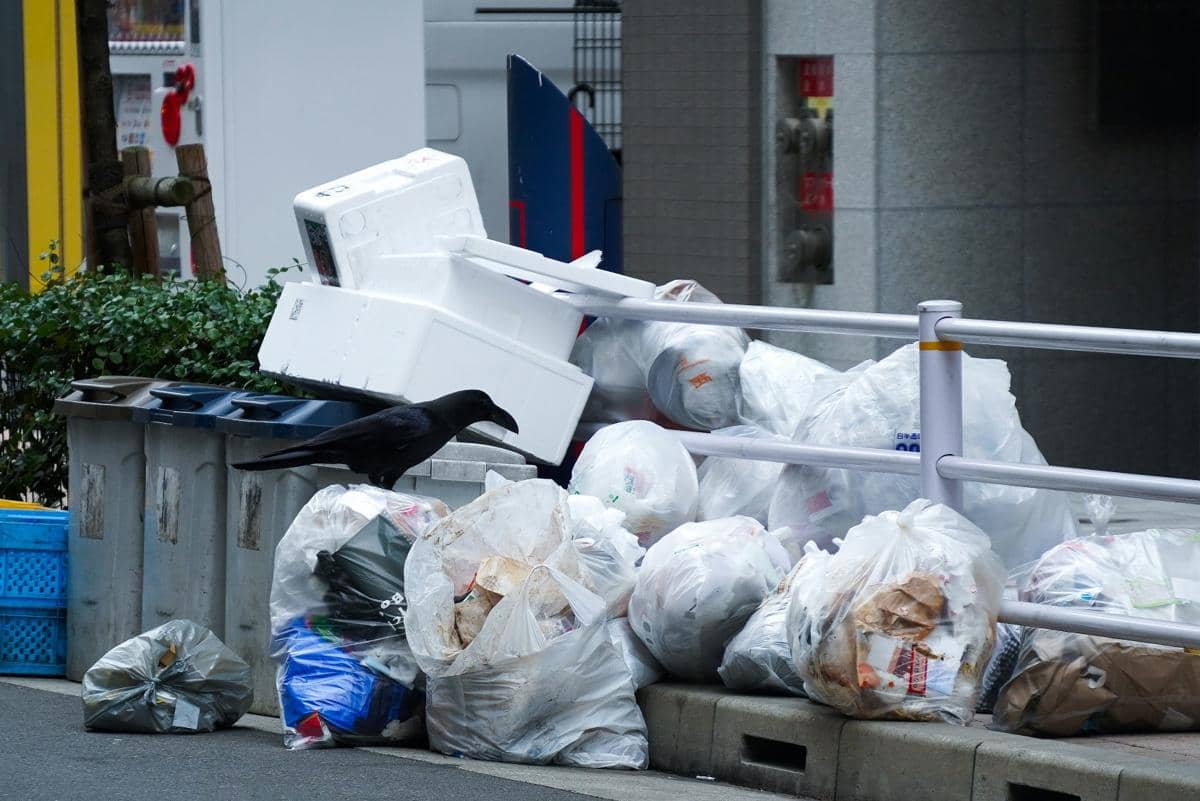 Tumpukan Sampah Setinggi Satu Meter di Jalur Pipa Gas Pamulang Timur Tak Diangkut Lebih dari Sepekan, Warga Keluhkan Bau Menyengat