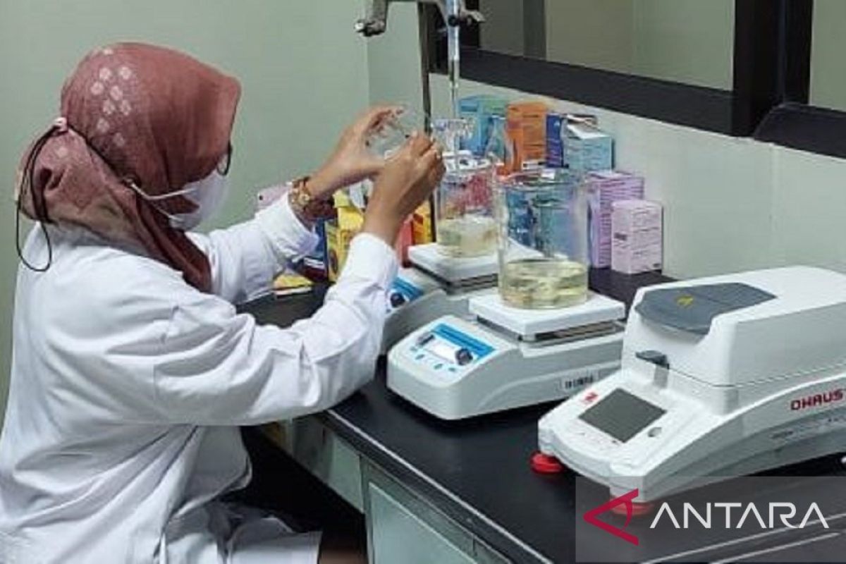 Daun Pucuk Merah, Tanaman Pinggir Jalan yang Kaya Antioksidan, Diolah Dosen UNJA Jadi Serum Nano 'SOGY'