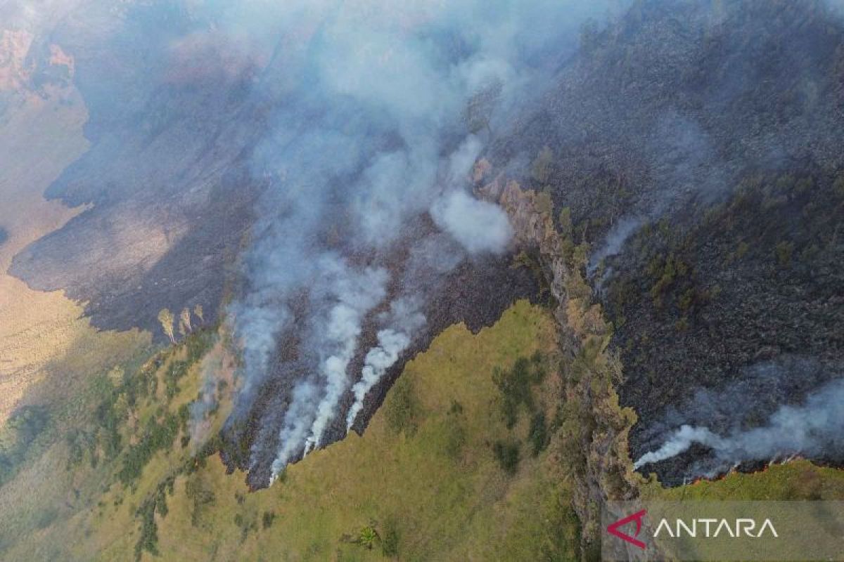 Karhutla Gunung Bromo Meluas ke 60 Hektare, Api di Lereng Kaldera Sulit Dipadamkan karena Medan Terjal