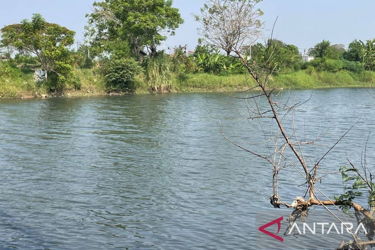 DLHK Banten Investigasi Tiga Aspek Pencemaran Sungai Ciujung, BOD dan COD Terdeteksi Tinggi