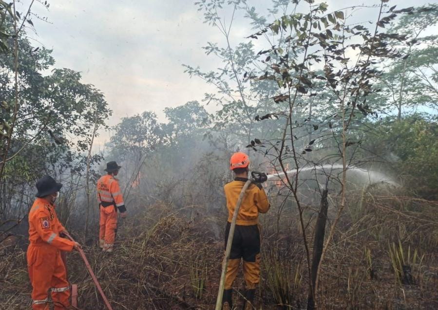 TRC BPBD Kalsel Padamkan Tiga Titik Karhutla di Banjarbaru, Satu Hektare Lahan Semi Gambut Terbakar