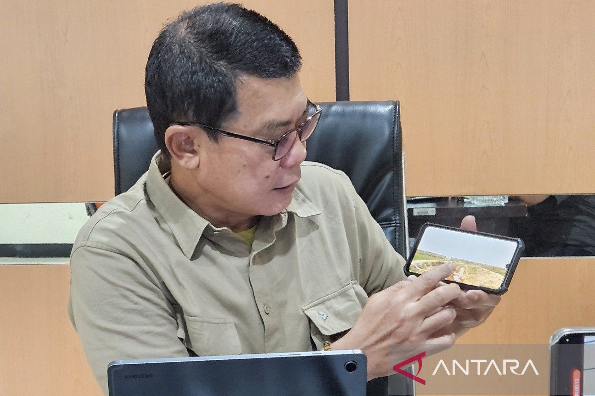 Bulog Papua Catat Penyerapan Beras Merauke Baru 4.500 Ton, 19,56 Persen dari Target 23.000 Ton
