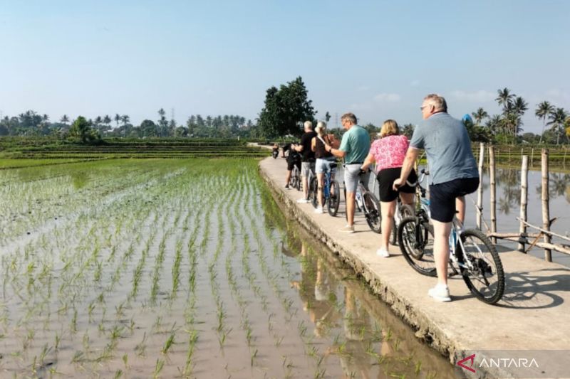 Dua Desa di Lombok Barat Ini Jadi Andalan Wisatawan Asing, Program Bersepeda Melintasi Sawah Jadi Daya Tarik Utama