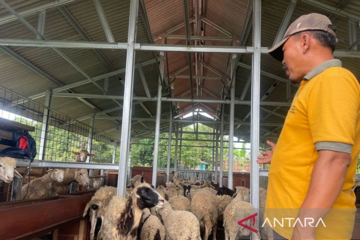 Anggota DPRD Jabar Ika Siti Rahmatika Dorong Pembenahan Data Kelompok Ternak di Kuningan Agar Mudah Akses Bantuan Pemerintah
