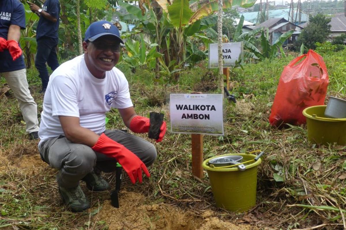 Pemkot Ambon Tanam 1.000 Pohon di DAS Air Besar Batumerah, Cegah Bencana Hidrometeorologi