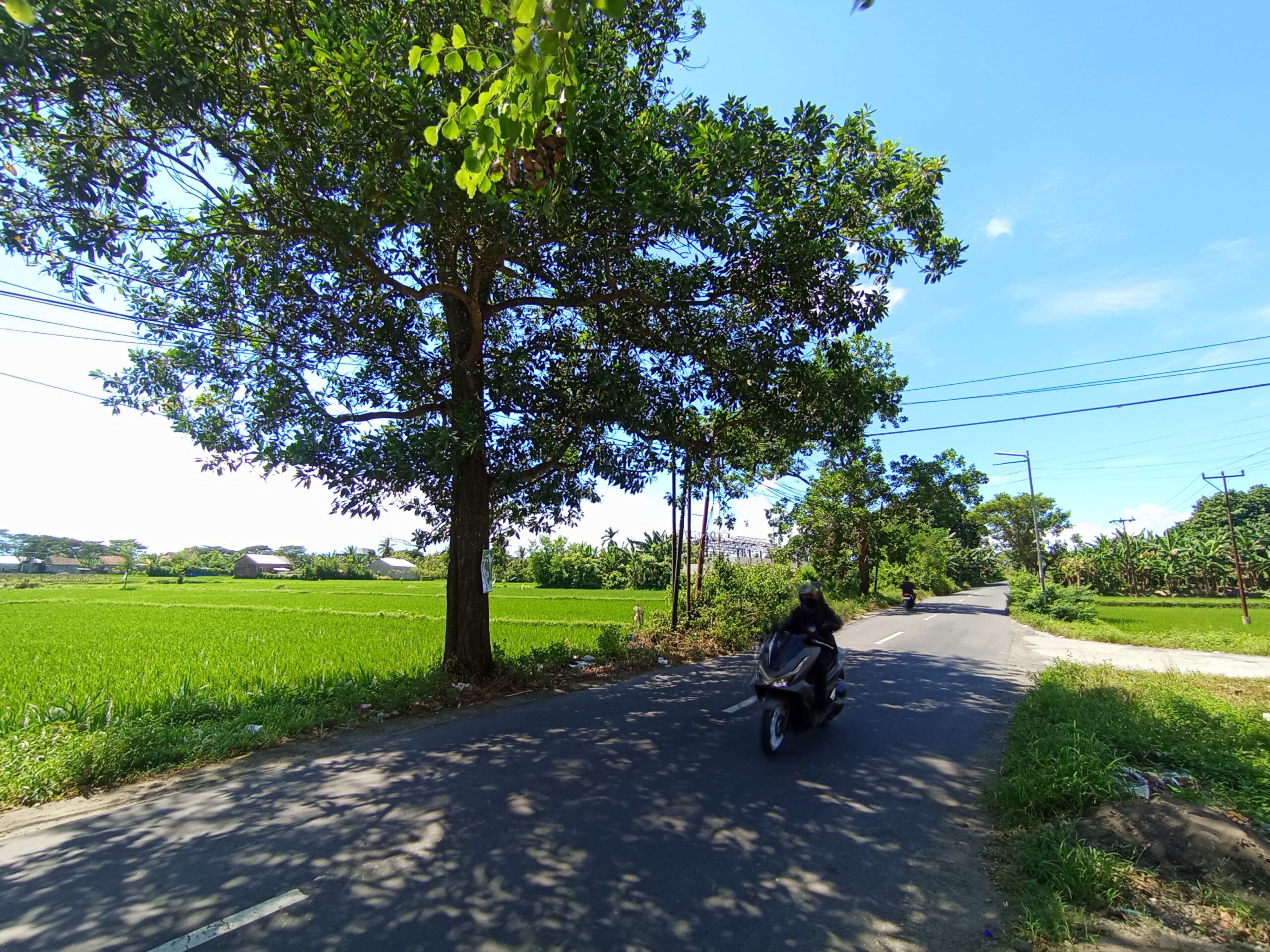 Kolaborasi Pemkab Lobar dan Pemprov NTB Kawal Anggaran Pembebasan Lahan Jalan Gerung-Kuripan, Target Proyek 2027