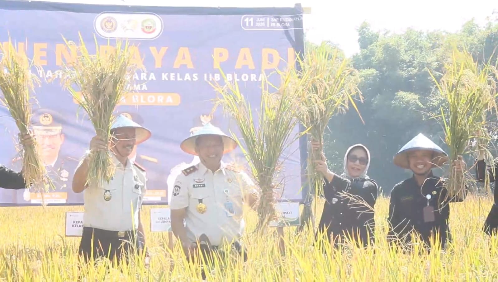 Rutan Blora Panen Raya Padi Satu Hektare, Warga Binaan Buktikan Metode Tabur Benih Tanpa Semai Berhasil