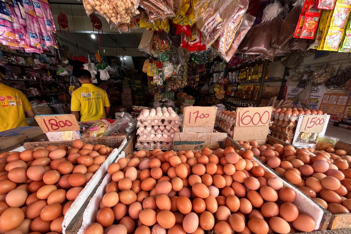 Harga Beras Premium di Pontianak Naik Rp 500 per Kilogram, Pemprov Kalbar Gelar Pasar Murah dengan Subsidi Ganda Rp 75.000 per Paket