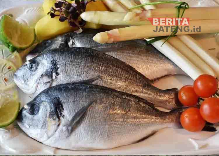 Konsumsi Ikan Warga Klaten Baru 18 Kg per Tahun, DKPP Gencarkan Program Gemarikan untuk Cegah Stunting