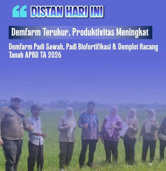 Dinas Pertanian Banten Temukan Kendala Air dan Hama Wereng di Demfarm Padi Biosalin Tangerang, Petani Didorong Ubinan