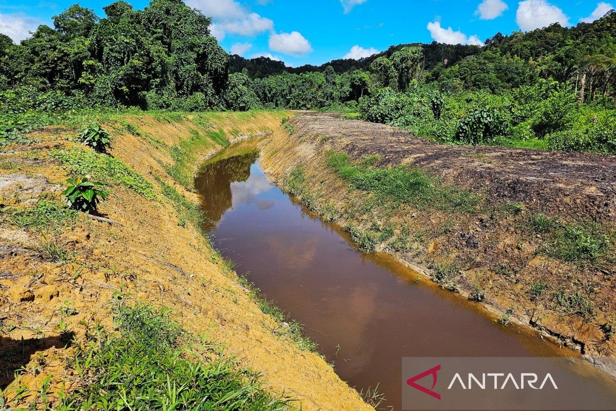 Pemkab Natuna Tuntaskan Normalisasi Empat Sungai Sebelum Musim Hujan, Aliran Kini Lebih Lancar