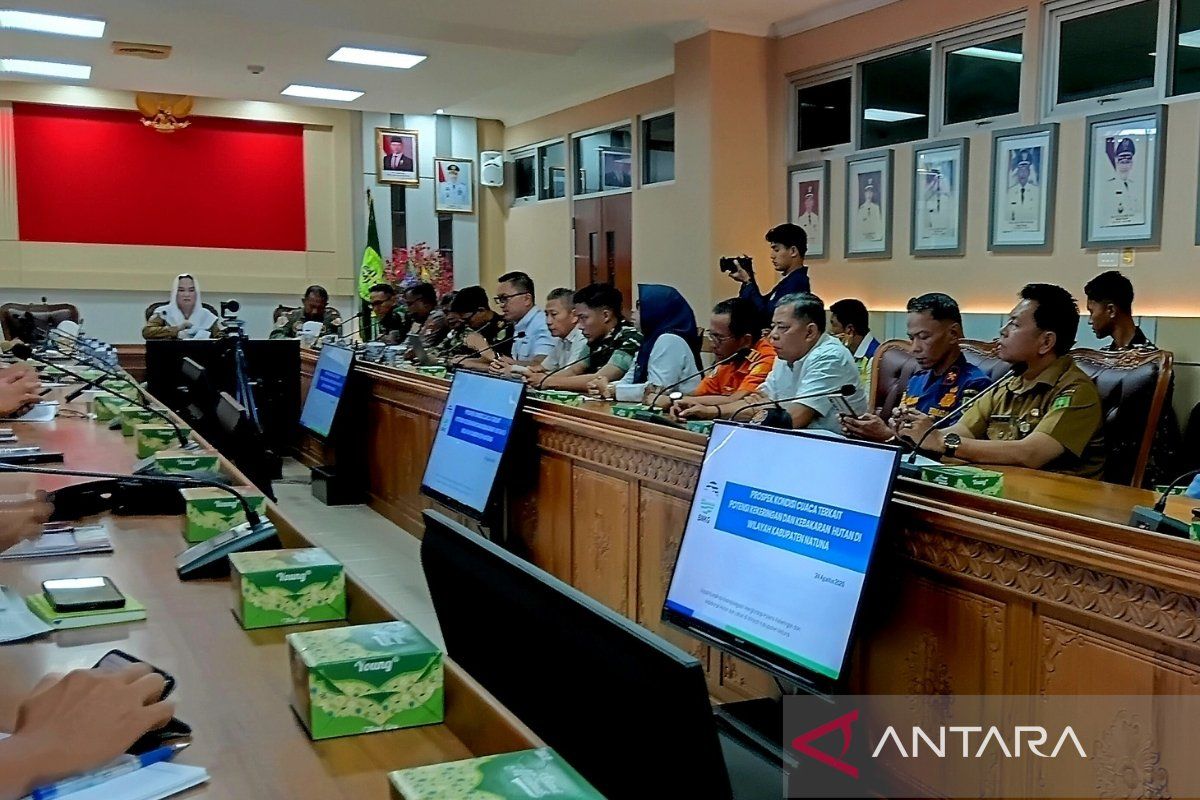 Kebakaran Hutan di Natuna Meningkat, Pemkab Bentuk Satgas dengan Zonasi dan Tim Medis