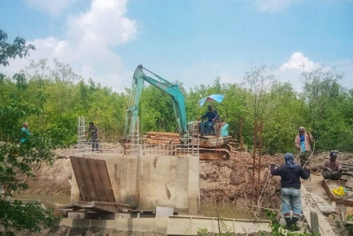 4 Proyek Pengendalian Banjir di Kepri Mulai Dikerjakan 2026, Satu Lokasi Jadi Jalur Lintasan Buaya