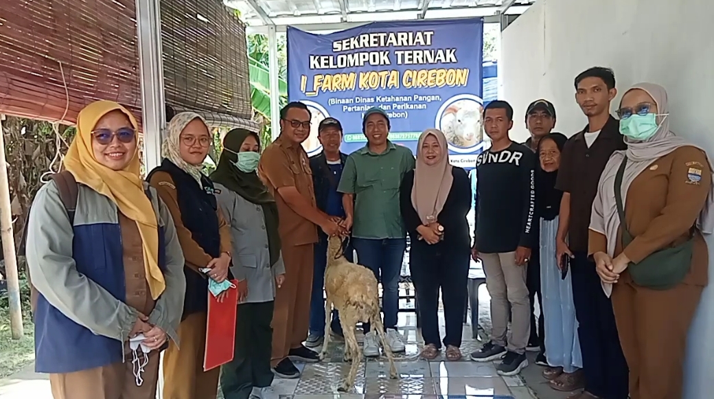 Anggota DPRD Kota Cirebon Muhamad Noupel Salurkan 12 Ekor Domba ke Peternak Sunyaragi, Disertai Vitamin dan Pengecekan Kesehatan