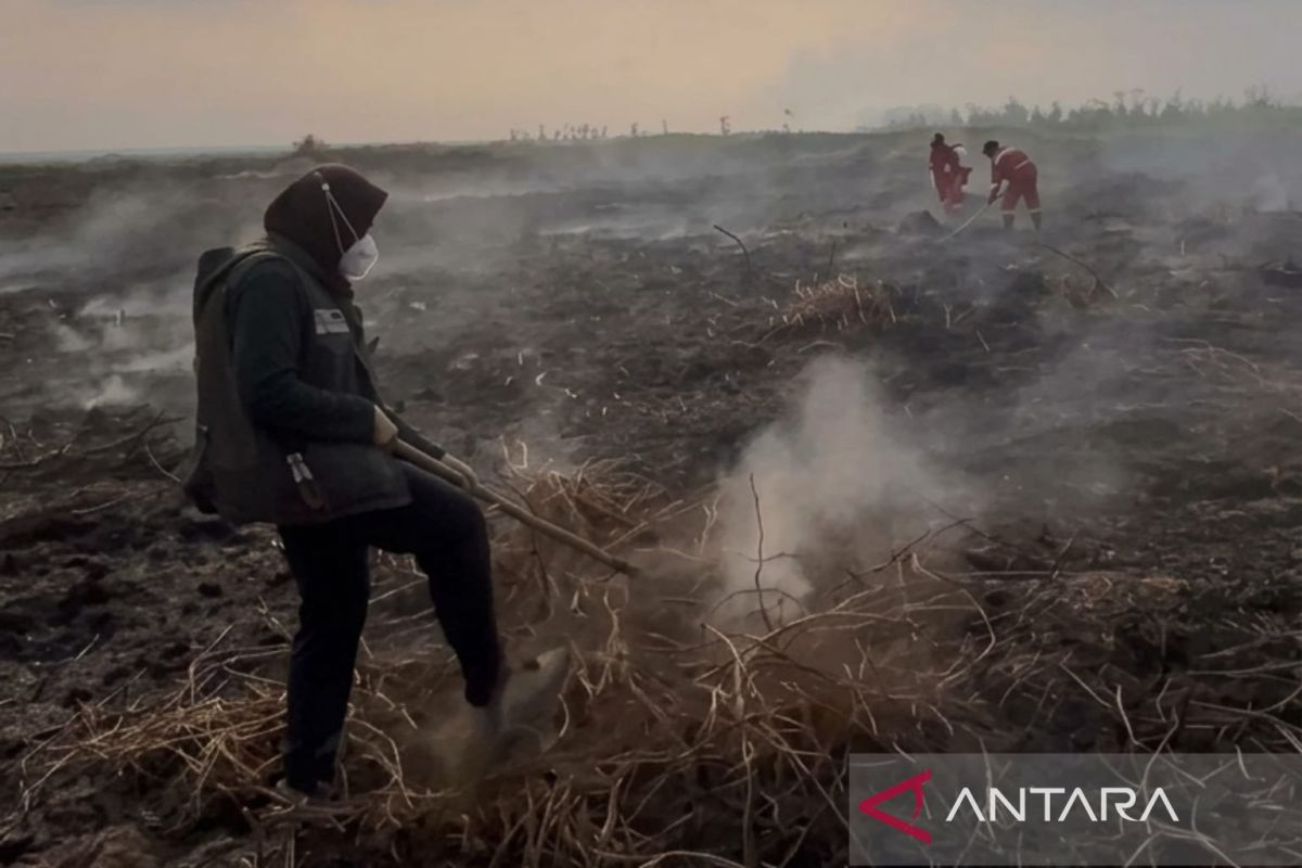 BKSDA Kaltim Apresiasi Petugas Perempuan di Garis Depan Pengendalian Karhutla Cagar Alam Teluk Adang