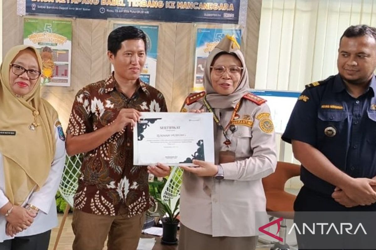 Karantina Babel Dampingi UMKM Ekspor 122 Kilogram Daun Bambu Kering ke Inggris, Dorong Komoditas Baru