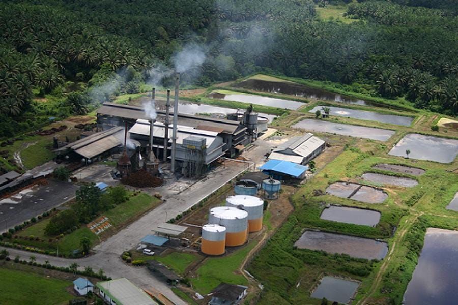 Petani Sawit Jambi Tolak Moratorium PKS Gubernur, Sebut Biaya Angkut TBS Bisa Makin Membengkak