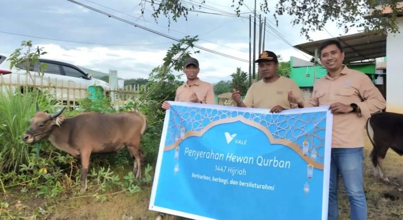 MIND ID Salurkan 1.735 Hewan Kurban hingga ke Papua Tengah, Libatkan UMKM Binaan dalam Penyembelihan