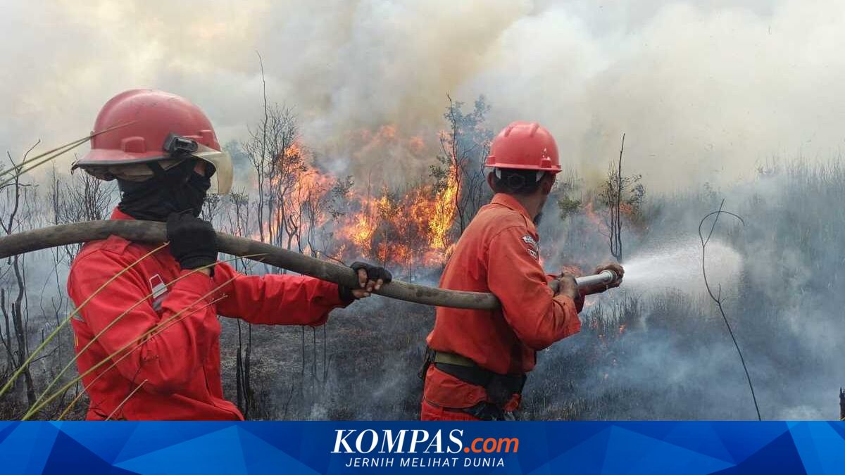 Karhutla di Sumsel Capai 664,87 Hektar Hingga Juni 2026, Operasi Modifikasi Cuaca Mulai Dijalankan