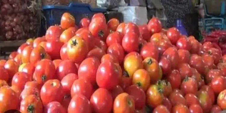 Harga Cabai Merah di Sumut Tembus Rp 44.500 per Kg, Ekonom Sebut Lonjakan Bersifat Sementara