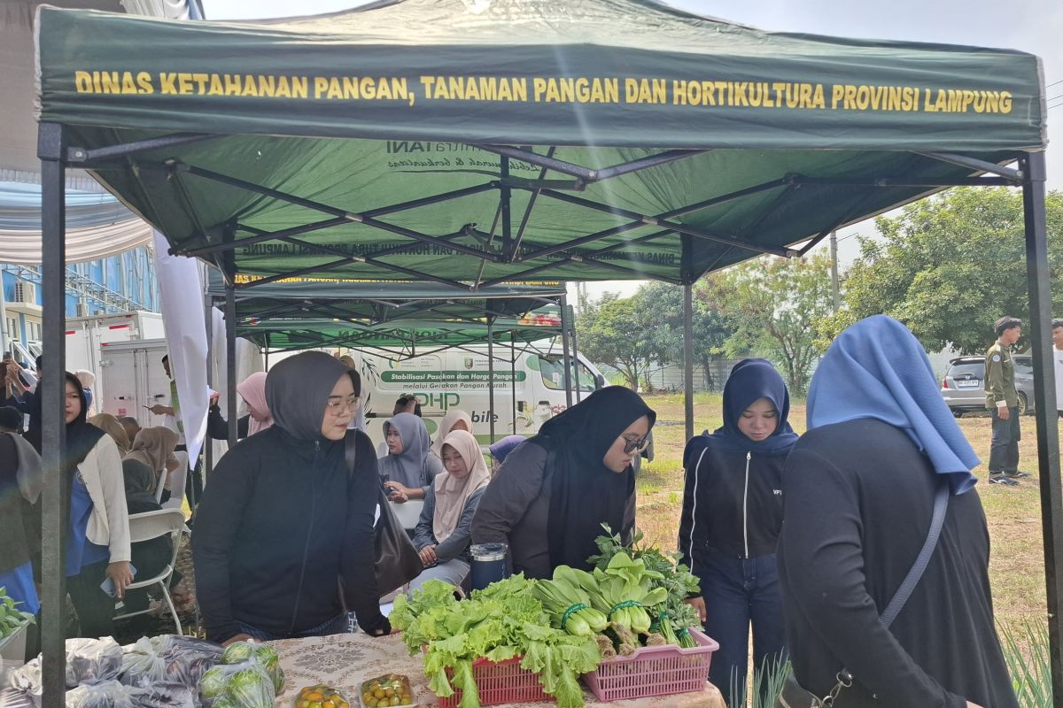 Dinas Pangan Lampung Bagikan 1.000 Bibit Cabai Gratis di Setiap Bazar Gerakan Pangan Murah, Target Tekan Inflasi Volatile Food