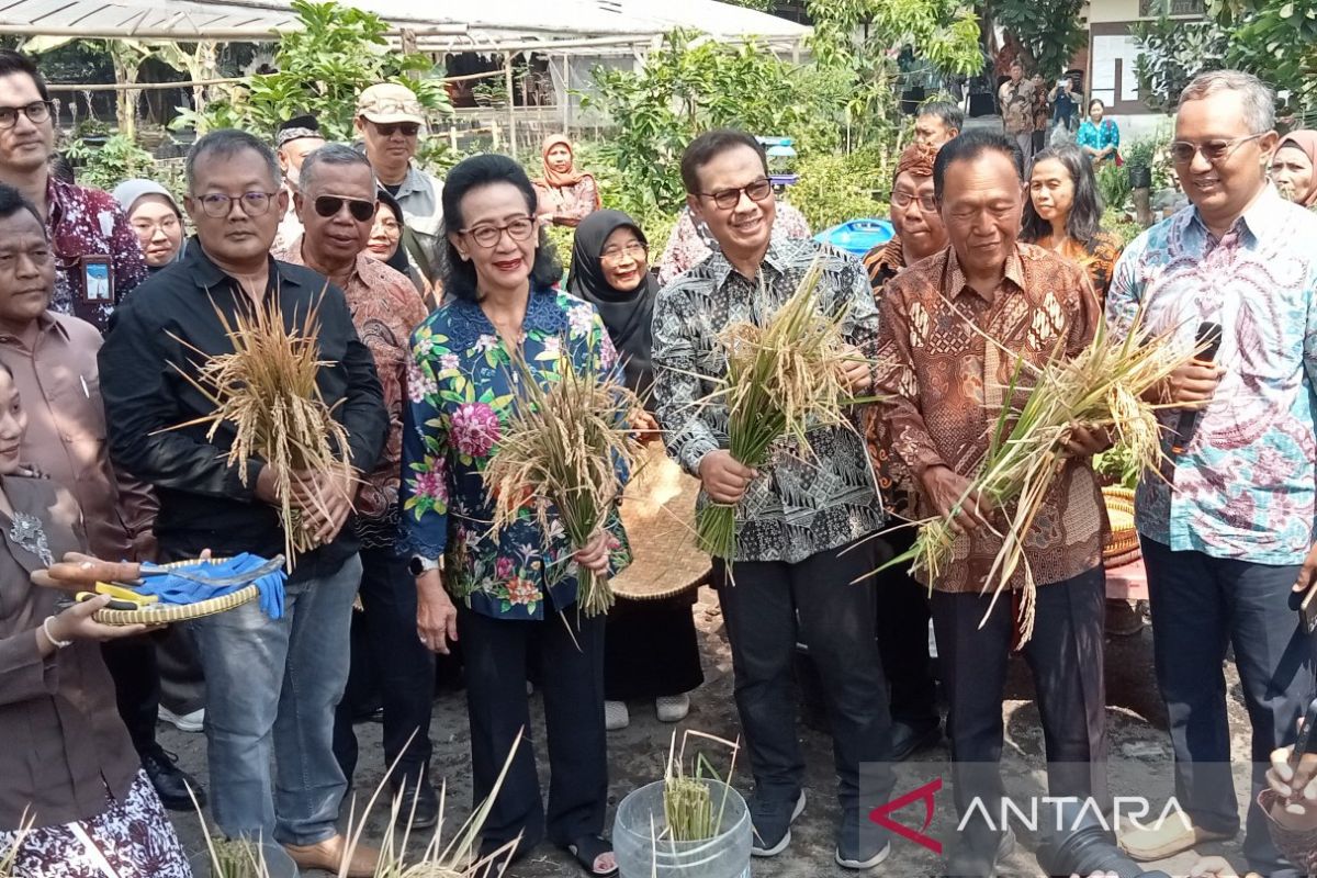 Pemkot Yogyakarta Dorong Kelompok Tani Manfaatkan Galon Bekas untuk Pertanian Terpadu di Wirobrajan