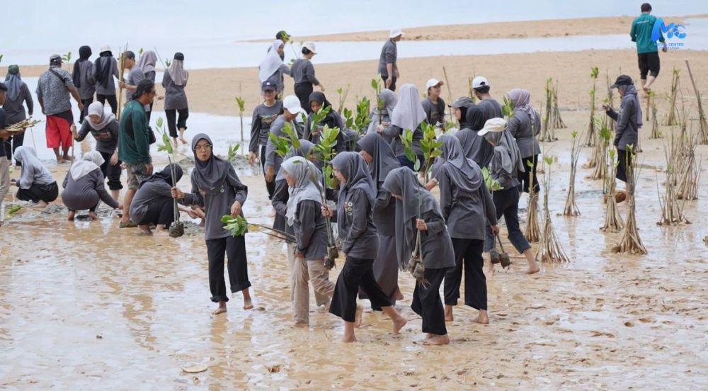 Batam Darurat Mangrove: Amsakar dan Mahasiswa Tanam 2.000 Bibit