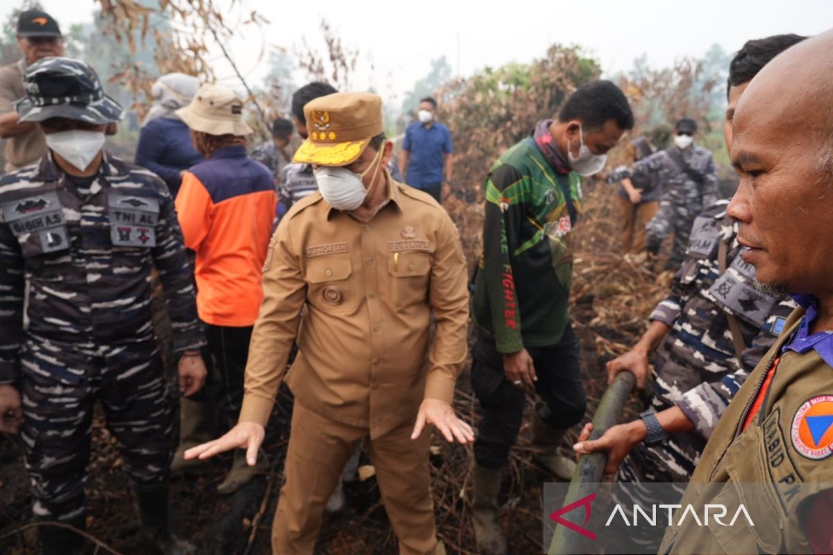 Gubernur Kalbar Ria Norsan dan Bupati Kubu Raya Sujiwo Tinjau Lokasi Karhutla, Waspadai Api di Lahan Gambut