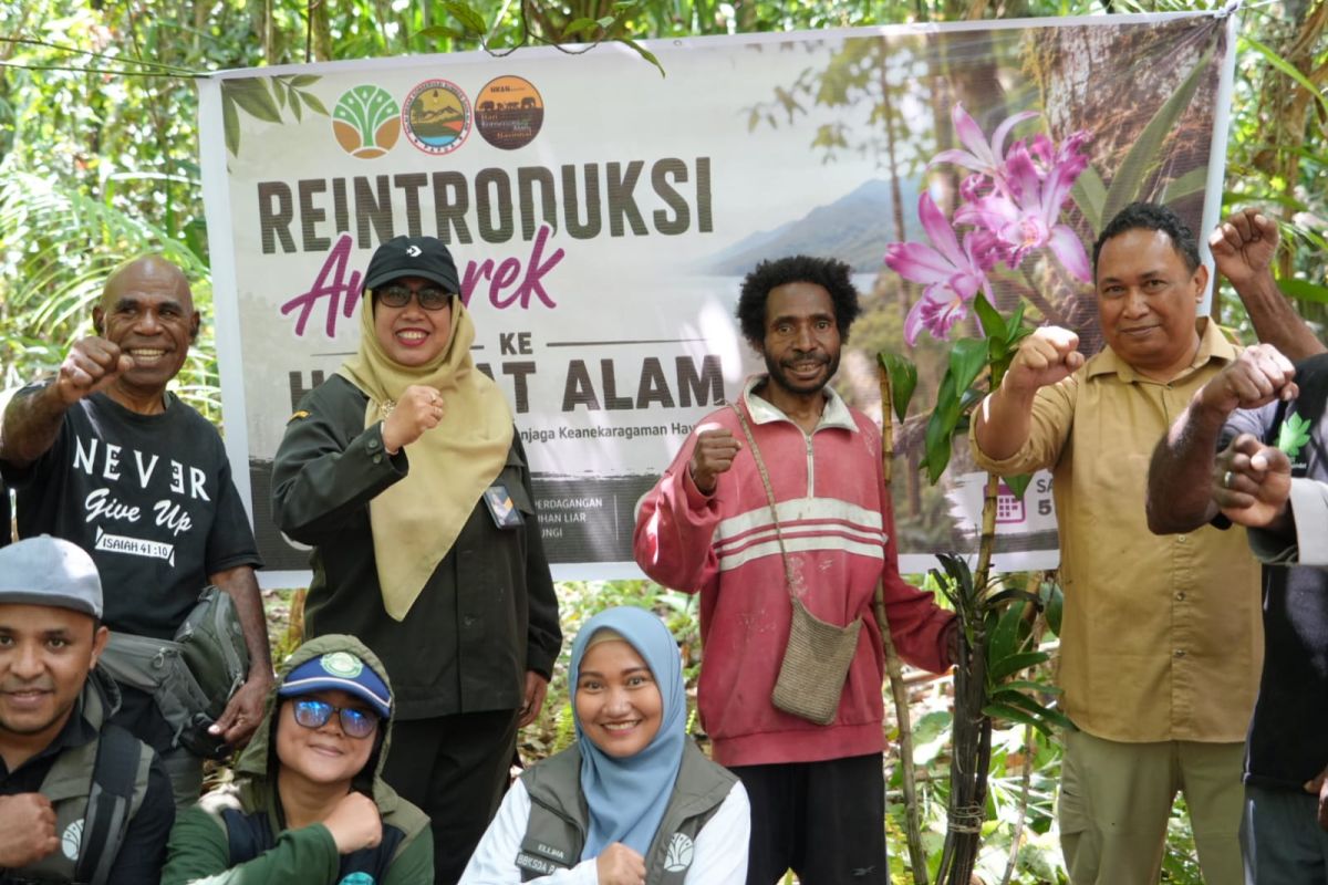 Badan Karantina Papua Selamatkan 18 Flora dan Fauna Endemik dari Perdagangan Ilegal, Termasuk Cenderawasih dan Anggrek Langka