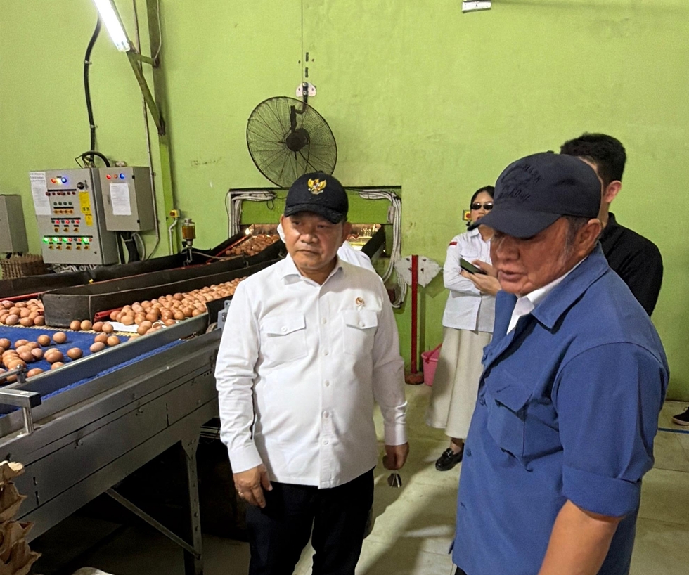 Gubernur Sumsel dan Kepala Staf Kepresidenan Tinjau Peternakan Ayam Petelur di Banyuasin, Produksi Capai 20 Ton Per Hari
