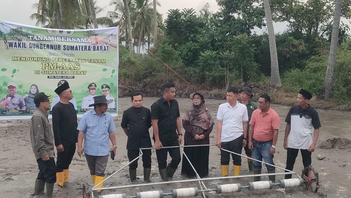 Pertanian Modern PM-AAS Mulai Diterapkan di Solok, Target Produksi Padi 10-12 Ton per Hektare