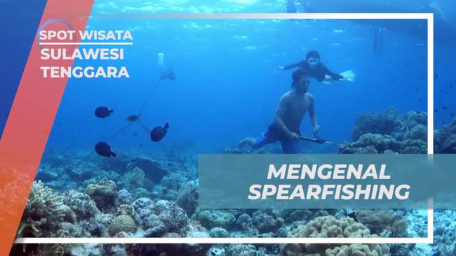 Mengenal Teknik Spearfishing Tradisional Suku Bajo di Kampung Mola, Warisan Turun-Temurun Nelayan Wakatobi
