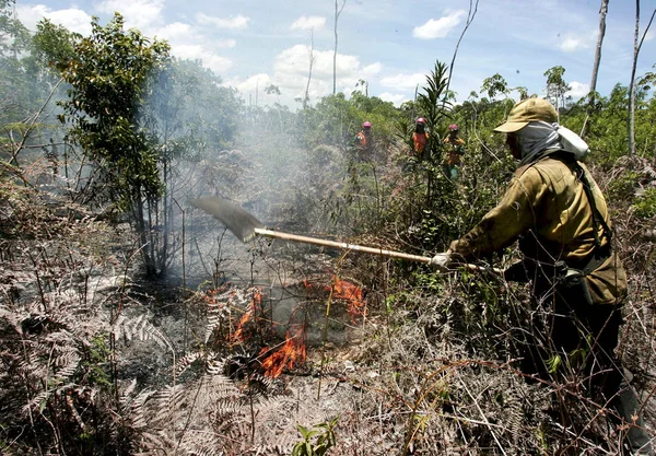 60 Kelompok MPA di Kalimantan Utara Jadi Garda Terdepan Cegah Karhutla, 18 Regu Brigdal Disiagakan