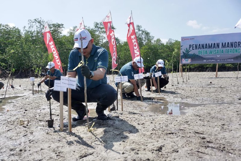 Honda Babel Tanam 500 Bibit Mangrove di Pesisir Belitung, Wabup Syamsir Turun Langsung ke Desa Terong