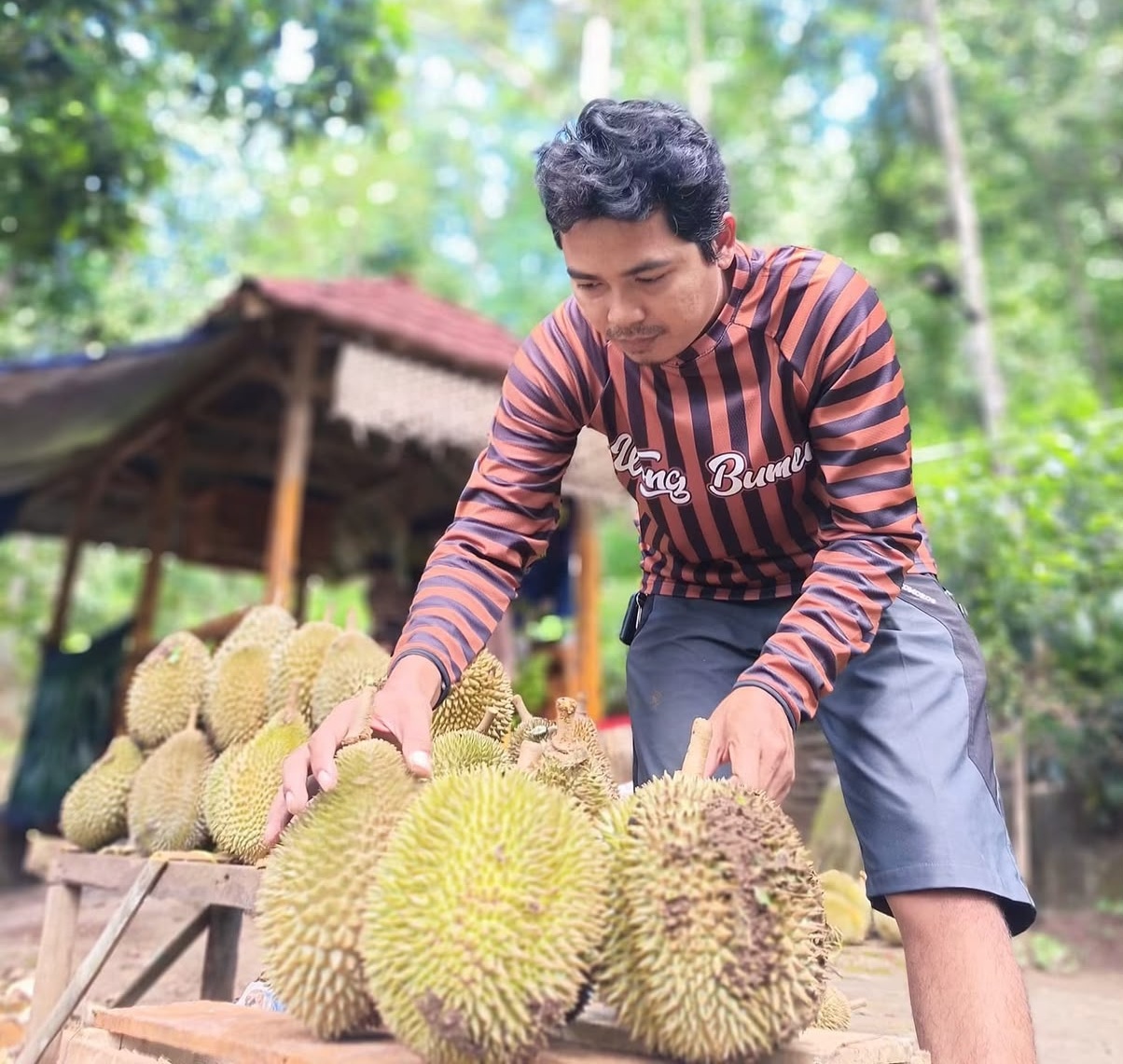 Kebun Durian Sibecak di Serang Jual Durian Lokal Taktakan Mulai Rp70.000, Ada 6 Varietas Favorit