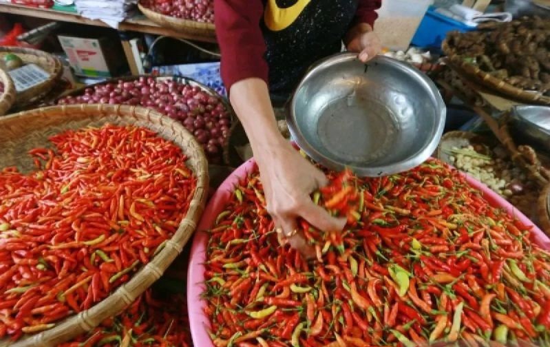 Harga Cabai Rawit di Mataram Turun Rp10.000 per Kg Jelang Idul Adha, Pasokan dari Jawa Melimpah